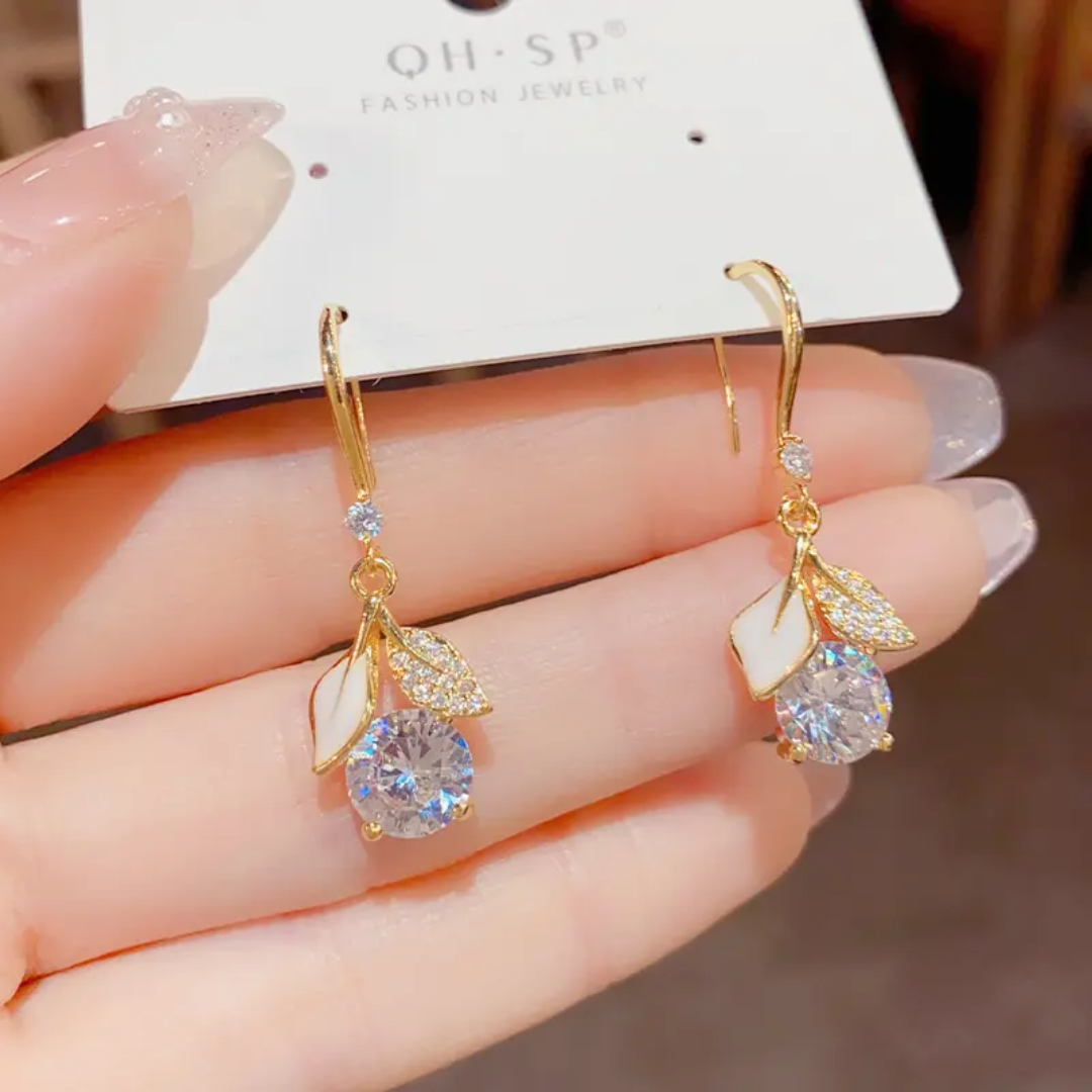Elegant Hoop Earrings