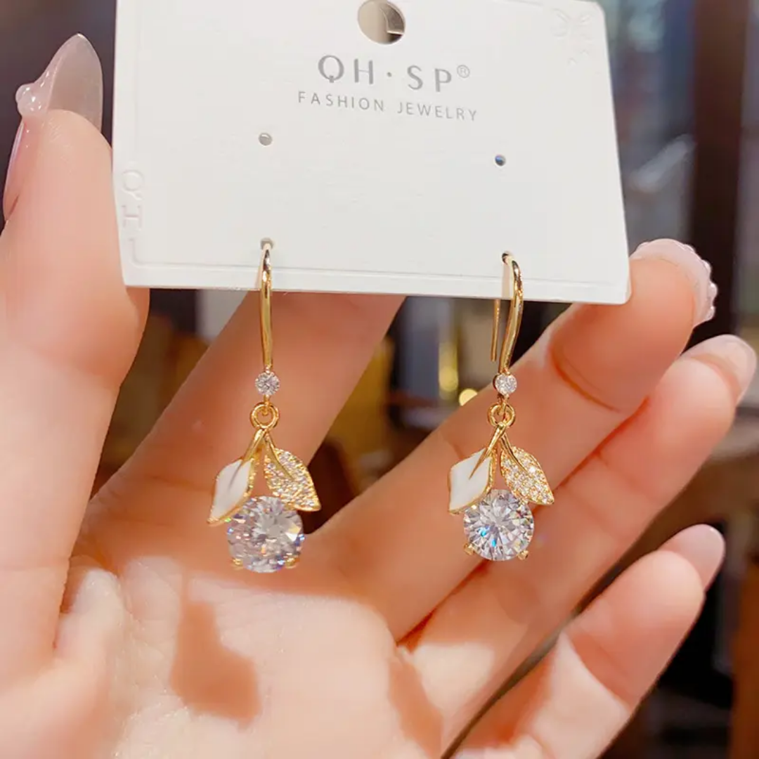Elegant Hoop Earrings