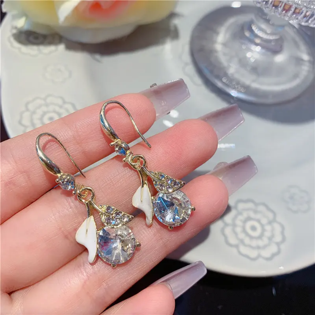 Elegant Hoop Earrings